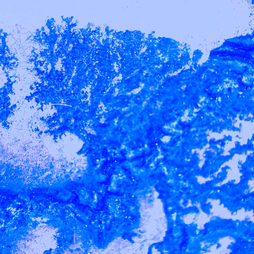 vignette lichtenberg 3